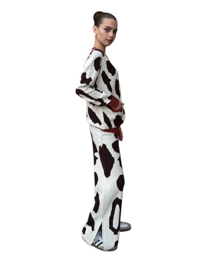 Set Cheetah - Image 3